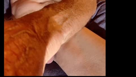 Snapshot of akiwi2 chatting on December 2024 10:05:02 AM akiwi2 online show from December 2024 10:05:02 AM