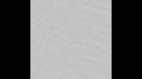 Alaia online show from March 2026 07:08:01 PM