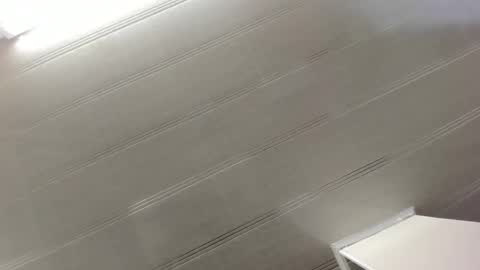 Maeve  online show from December 2024 10:45:02 AM