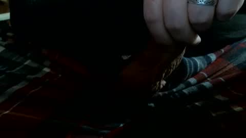 Alberik online show from November 2025 04:22:02 PM