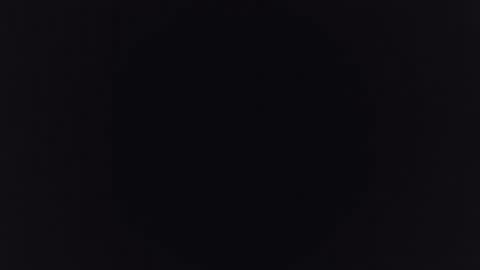 Albert online show from December 2024 08:36:01 PM