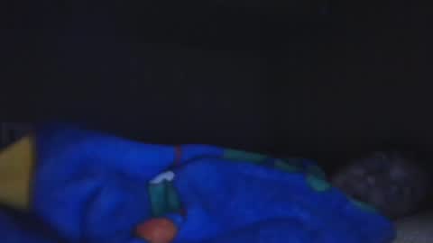 call me on skp alexdewalt online show from December 2024 12:03:01 PM