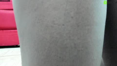 Snapshot of alejandra_dunn chatting on January 2025 01:39:01 PM Alejandra online show from January 2025 01:39:01 PM