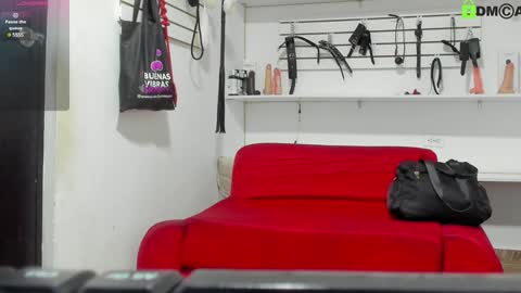 Snapshot of alejandra_dunn chatting on January 2025 12:10:01 PM Alejandra online show from January 2025 12:10:01 PM