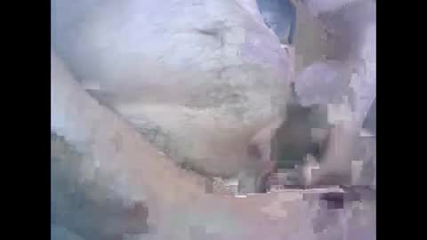 aleksandarcoabatica online show from October 2025 08:58:02 AM