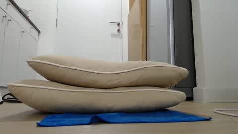 Snapshot of alex_nicha chatting on September 2025 04:47:01 AM Nicha online show from September 2025 04:47:01 AM