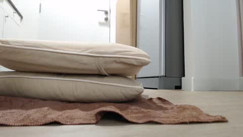 Snapshot of alex_nicha chatting on October 2025 03:20:01 AM Nicha online show from October 2025 03:20:01 AM