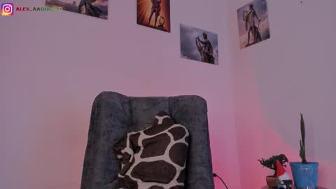 x   online show from January 2026 06:31:02 PM