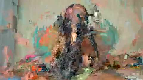 Alexa online show from January 2026 06:29:02 AM