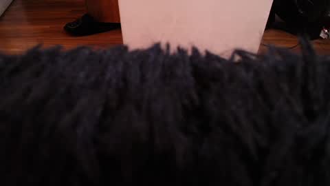 Snapshot of alexamoon__ chatting on December 2024 03:58:01 AM Alexa Moon online show from December 2024 03:58:01 AM