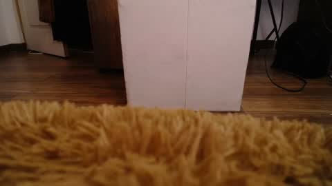 Snapshot of alexamoon__ chatting on December 2024 05:44:01 PM Alexa Moon online show from December 2024 05:44:01 PM