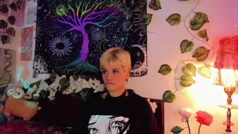Snapshot of alexiafisher_ chatting on February 2025 04:56:02 PM Alex online show from February 2025 04:56:02 PM
