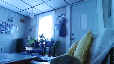 Snapshot of ali_tayler chatting on November 2025 01:44:01 PM ali_tayler online show from November 2025 01:44:01 PM