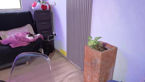 Alice online show from December 2025 01:39:02 PM