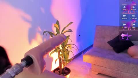 Alicee  online show from January 2026 09:41:01 PM