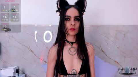 Snapshot of alicenoir_ chatting on January 2025 06:04:01 PM alicenoir_ online show from January 2025 06:04:01 PM