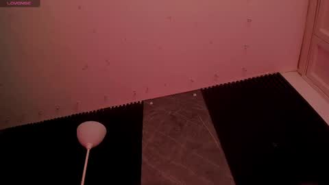 ALICE  online show from November 2025 06:36:02 AM