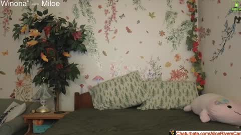Snapshot of aliceriverscam chatting on December 2024 09:16:01 PM Alice Rivers ---- Enter my public Discord-  online show from December 2024 09:16:01 PM