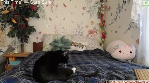 Snapshot of aliceriverscam chatting on January 2025 08:40:02 PM Alice Rivers ---- Enter my public Discord-  online show from January 2025 08:40:02 PM