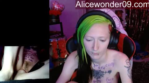 Alice online show from February 2026 08:35:02 AM