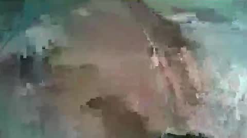 Aline LoveFlowers online show from January 2026 10:24:01 PM