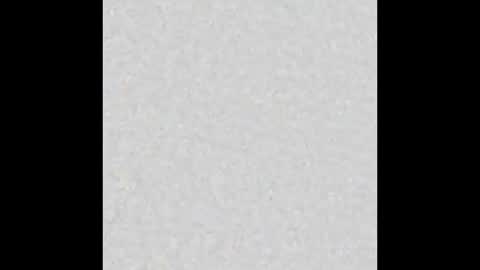 Alisse online show from December 2025 12:42:02 PM