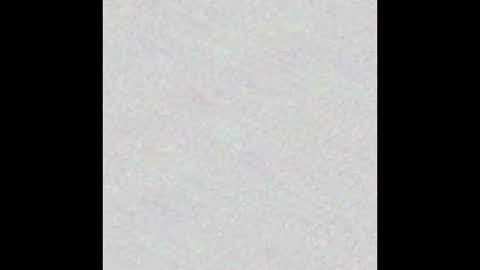 Alisse online show from January 2026 11:56:02 AM