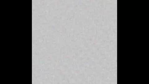 Alisse online show from March 2026 11:59:02 AM