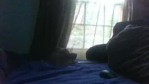 Snapshot of allbermy chatting on February 2025 09:48:01 PM allbermy online show from February 2025 09:48:01 PM