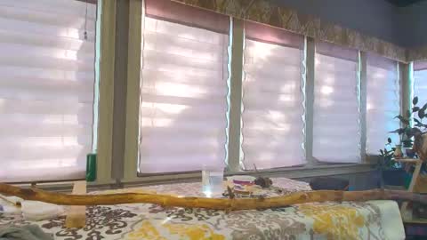 wishlist on bio online show from October 2025 07:08:01 PM