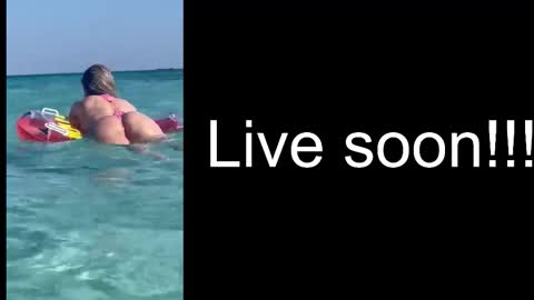 Snapshot of alliesynns chatting on October 2025 05:33:01 AM Allie online show from October 2025 05:33:01 AM