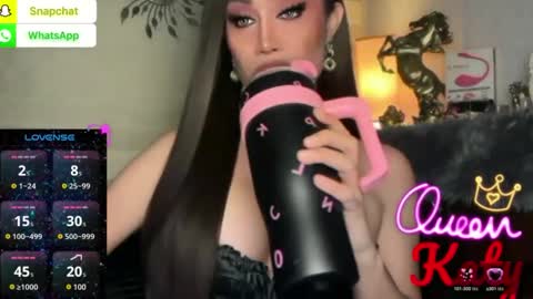 Snapshot of alluring_gemini chatting on May 2026 02:27:02 AM Queen Majesty Katy online show from May 2026 02:27:02 AM