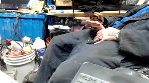 allwolf0323 online show from April 2026 09:23:02 AM