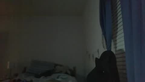 ally12334 online show from October 2025 02:30:01 AM