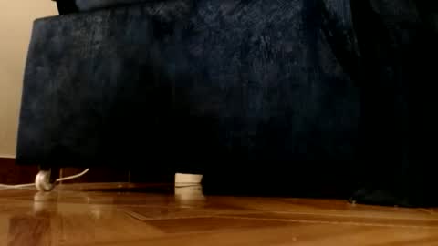 ur god online show from March 2026 12:12:01 AM