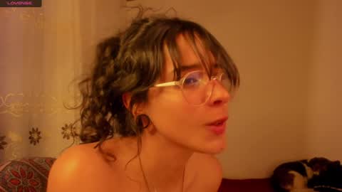 . .  online show from December 2024 11:14:01 PM