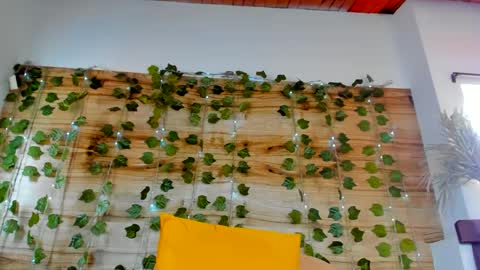 alyssia online show from February 2025 04:26:02 PM