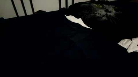 amadeusz online show from December 2024 10:19:01 PM