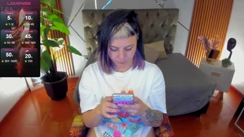 Amapola online show from December 2024 09:31:02 AM