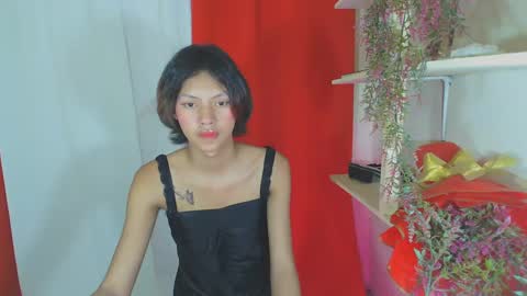 amara_fuck69 online show from March 2025 04:07:01 AM