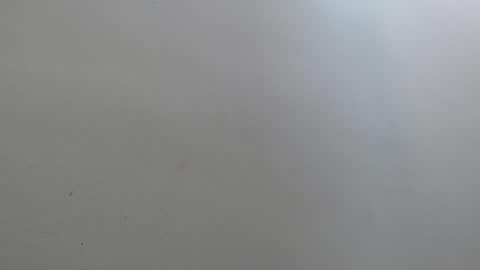 Amaranta online show from April 2026 12:46:02 PM