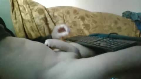 amazingcuteboy845 online show from September 2025 01:16:02 PM