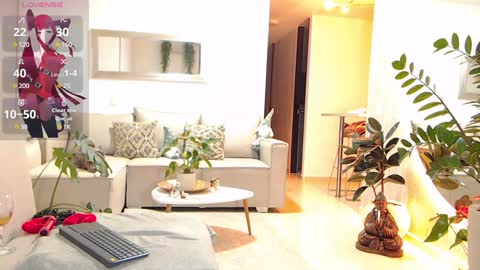 Ambar online show from December 2024 01:18:02 AM