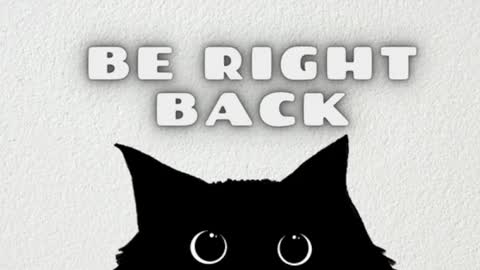 AmbarSantany  online show from February 2025 11:30:01 PM