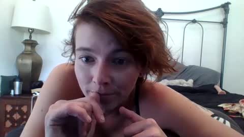 Snapshot of amber420kitty chatting on October 2025 07:44:01 PM amber420kitty online show from October 2025 07:44:01 PM