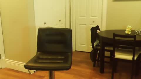 Snapshot of amera_gray chatting on January 2025 06:16:01 PM HOT white naughty leo xxx online show from January 2025 06:16:01 PM