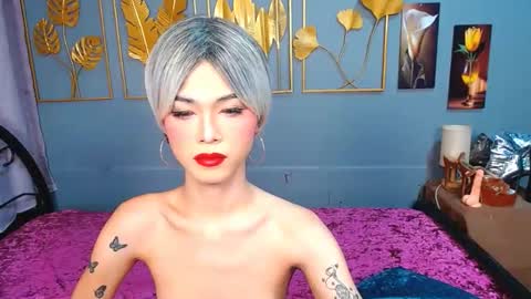 Amiera online show from February 2026 04:20:01 AM