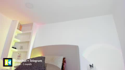 AMMY online show from February 2025 01:33:01 AM