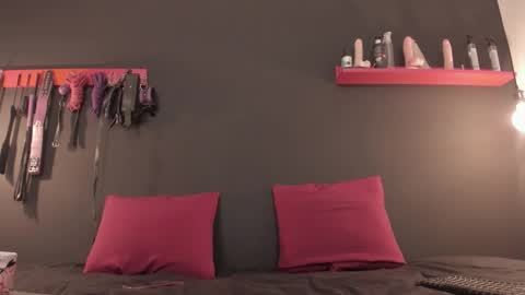 ammytorrez_ online show from November 2025 11:13:02 AM