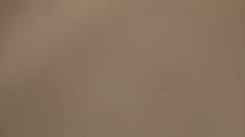 AmorLin online show from March 2026 12:11:01 AM